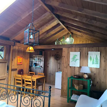 Casa vacanze Buen Paso Icod De Los Vinos